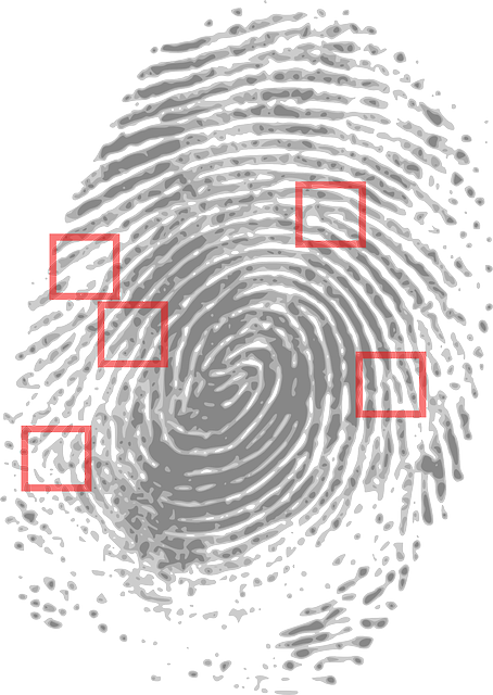 New 3D Tool Used in Crime Scene Analysis